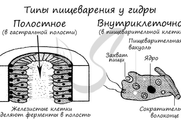 Регистрация на kraken