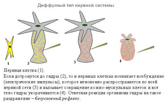 Зеркало kraken тор ссылка рабочее